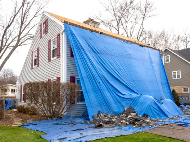 Best Hoarding Cleanup  in Sorgho, KY