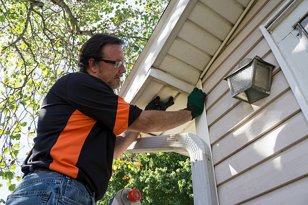 Best Carpet Removal and Disposal  in Sorgho, KY